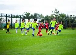 火箭逆境挑,能否在国王,之战中打破,辰龙捕鱼游戏官网,辰龙捕鱼游戏APP下载,辰龙捕鱼官方网站,辰龙捕鱼游戏中心