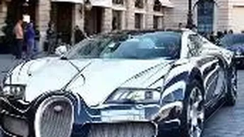 腾锐宠物个人主页展示