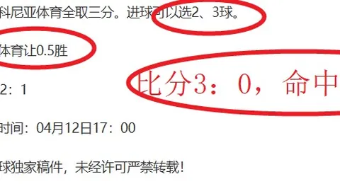 大比分交锋记录与总分设定反差分析